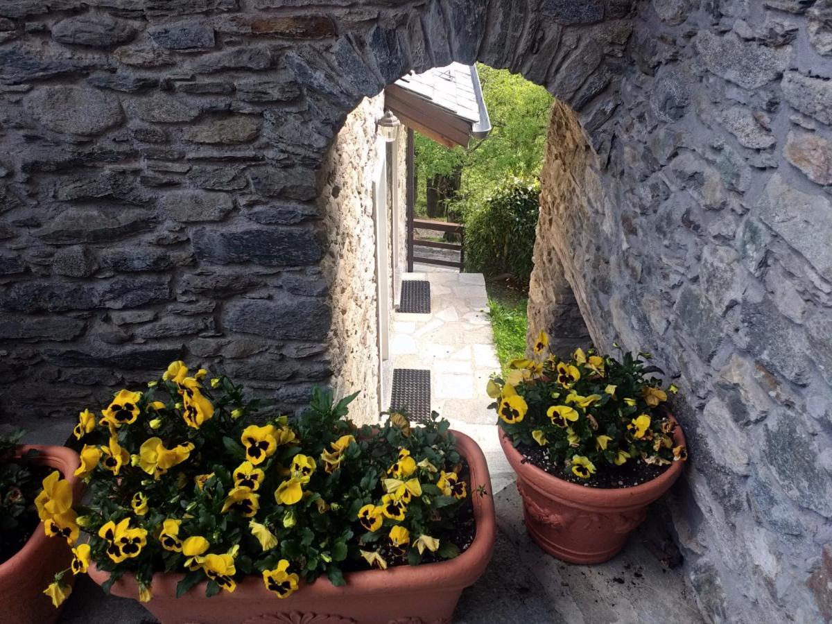 Agriturismo La Fonte Di Mariella Граведона Екстериор снимка